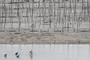 Basse: Chine, Chine du Sud, Province de Fujiang
