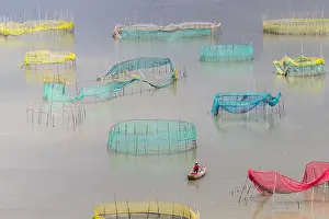 Elevage: Chine, Chine du Sud, Province de Fujiang