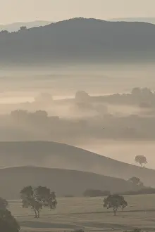 Brume: Chine, Mongolie interieure Province de Heibei
