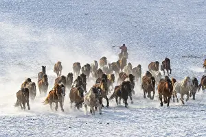 Habits: Chine, Mongolie interieure Province de Heibei
