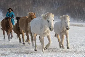Neige: Chine, Mongolie interieure Province de Heibei