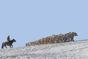 Neige: Chine, Mongolie interieure Province de Heibei