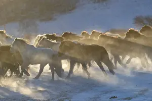 Neige: Chine, Mongolie interieure Province de Heibei