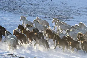 Habits: Chine, Mongolie interieure Province de Heibei