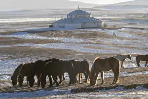 Coutume: Chine, Mongolie interieure Province de Heibei