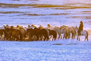 Respiration: Chine, Mongolie interieure Province de Heibei