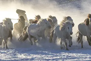 Neige: Chine, Mongolie interieure Province de Heibei