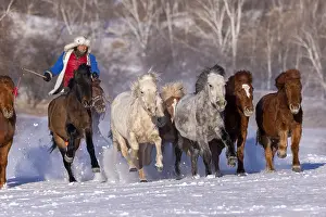 Neige: Chine, Mongolie interieure Province de Heibei