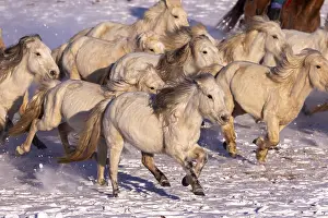 Habits: Chine, Mongolie interieure Province de Heibei
