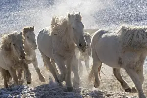 Neige: Chine, Mongolie interieure Province de Heibei