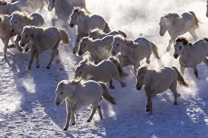 Habits: Chine, Mongolie interieure Province de Heibei