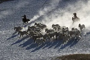 Habits: Chine, Mongolie interieure Province de Heibei