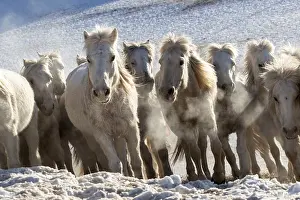 Neige: Chine, Mongolie interieure Province de Heibei