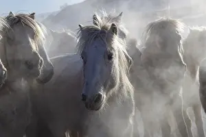 Neige: Chine, Mongolie interieure Province de Heibei