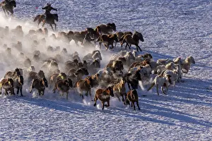 Neige: Chine, Mongolie interieure Province de Heibei