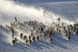 Habits: Chine, Mongolie interieure Province de Heibei