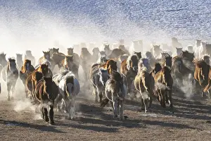 Habits: Chine, Mongolie interieure Province de Heibei