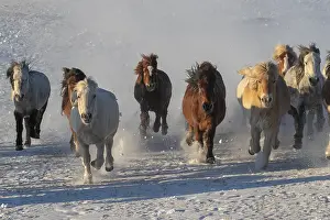 Habits: Chine, Mongolie interieure Province de Heibei