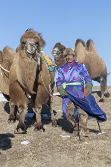 Bactrianus: Chine, Mongolie interieure Province de Heibei