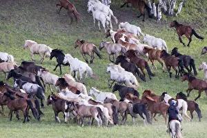 Habits: Chine, Mongolie interieure Province de Heibei