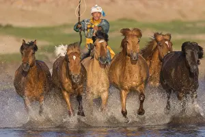 Marais: Chine, Mongolie interieure Province de Heibei
