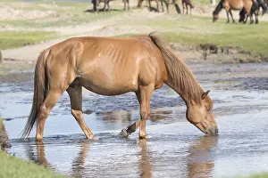 Tong: Chine, Mongolie interieure Province de Heibei