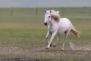Mouvement: Chine, Mongolie interieure Province de Heibei