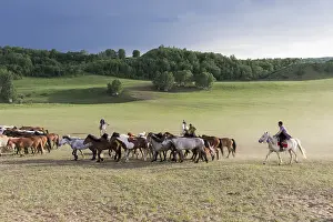Cavalier: Chine, Mongolie interieure Province de Heibei