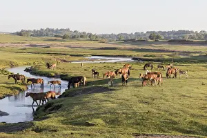 Tourisme: Chine, Mongolie interieure Province de Heibei