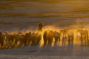 Tourisme: Chine, Mongolie interieure Province de Heibei
