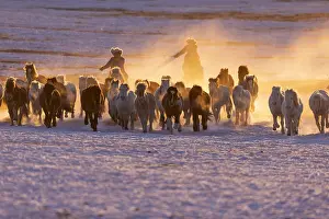 Tourisme: Chine, Mongolie interieure Province de Heibei