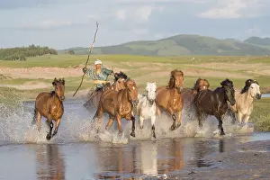 Cavalier: Chine, Mongolie interieure Province de Heibei