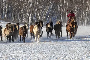 Tourisme: Chine, Mongolie interieure Province de Heibei