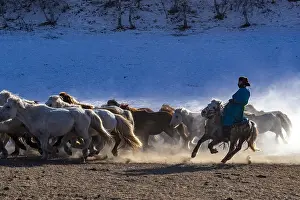 Prairie: Chine, Mongolie interieure Province de Heibei