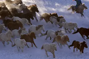 Prairie: Chine, Mongolie interieure Province de Heibei