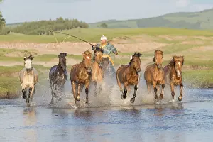 Cavalier: Chine, Mongolie interieure Province de Heibei