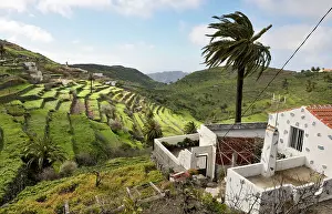 Gomera: Chipude en route to Valle Gran Rey - much terracing