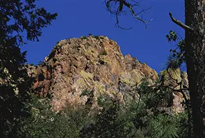 1997: Chiricahua Mountains, Arizona