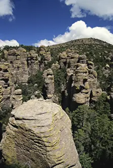 1995: Chiricahua National Monument