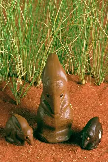 Australias: Chocolate Bilby - AustraliaIs version of the Easter bunny