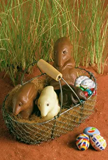 Australias: Chocolate Bilby - AustraliaIs version of the Easter bunny