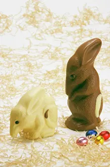Australias: Chocolate Bilby - AustraliaIs version of the Easter bunny