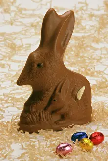 Australias: Chocolate Bilby - AustraliaIs version of the Easter bunny