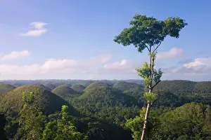 Filipino: Chocolate Hills of Bohol Island, Philippines