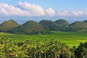 Filipino: Chocolate Hills, Bohol Island, Philippines