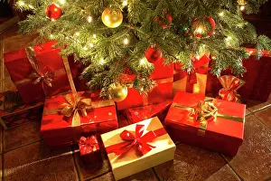 Presents: Christmas presents under a Christmas tree