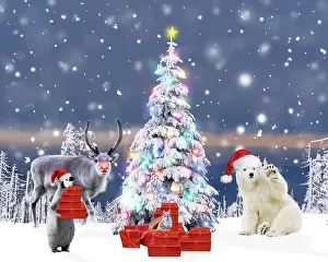 Delivering: Christmas Tree