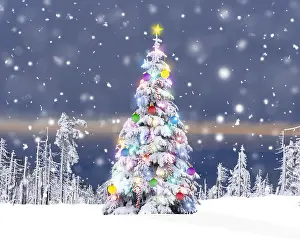 151119: Christmas Tree - with Christmas lights decorations