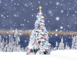151119: Christmas Tree - with Christmas lights and star