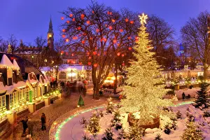 Copenhagen: The Christmas tree in Tivoli, Copenhagen, Denmark